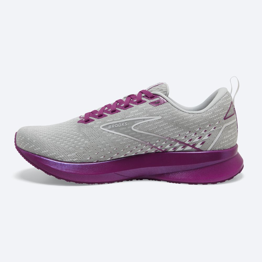 Brooks Levitate 5 Női Futócipő Szürke/Levendula | HU549867