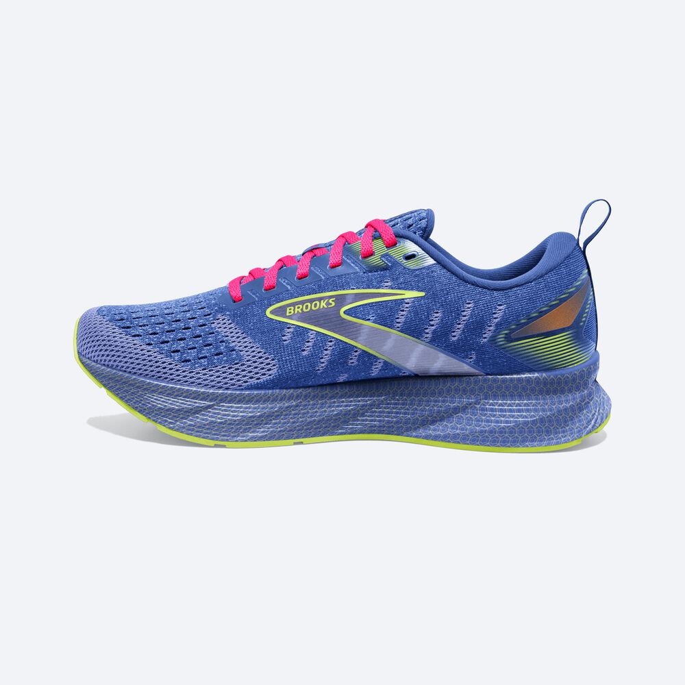 Brooks Levitate 6 Női Futócipő Lila/Rózsaszín | HU429073