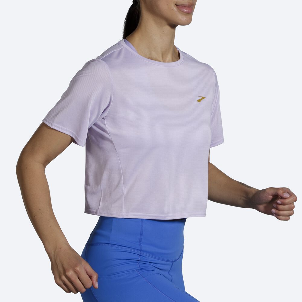 Brooks Run Within Crop Tee Női Póló Lila Szürke Csíkok | HU450782