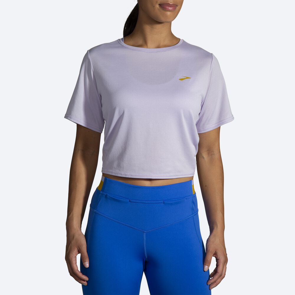 Brooks Run Within Crop Tee Női Póló Lila Szürke Csíkok | HU450782